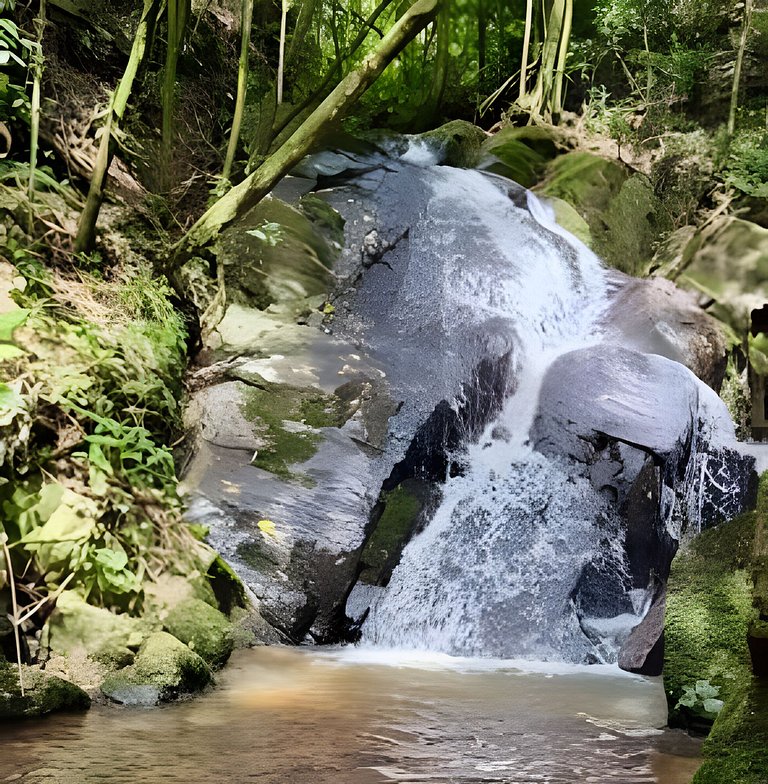 Cabana das Árvores nos Olivais Santa Clara