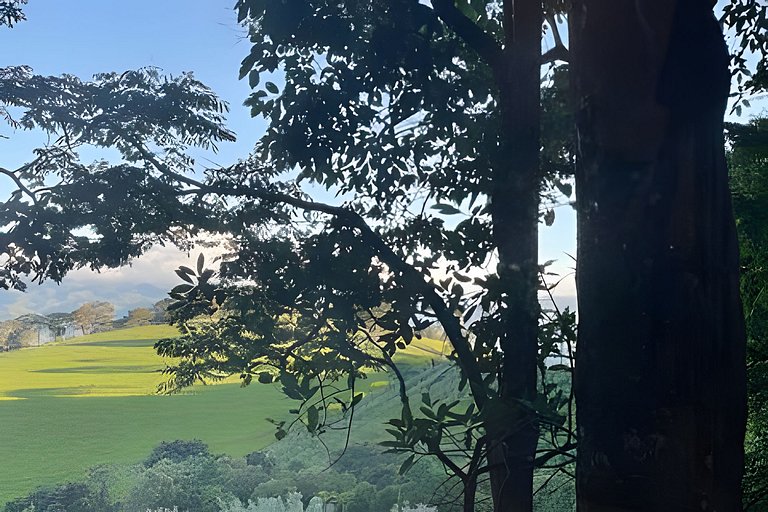 Cabana das Árvores nos Olivais Santa Clara