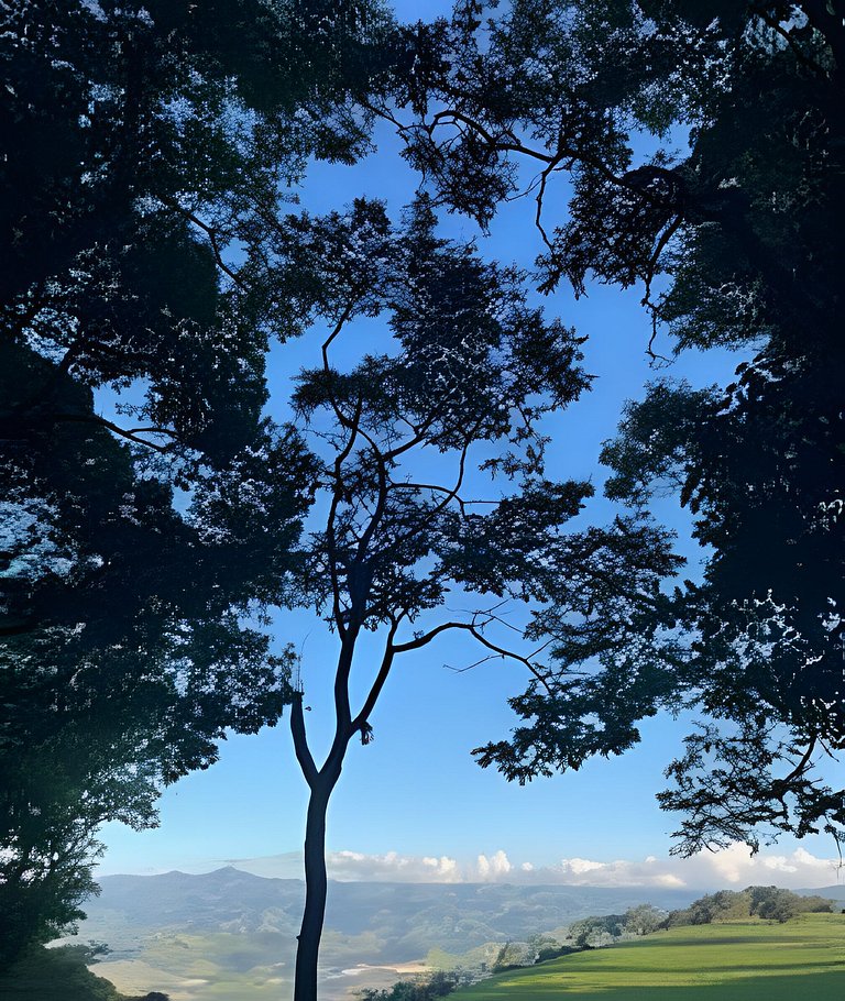 Cabana das Árvores nos Olivais Santa Clara