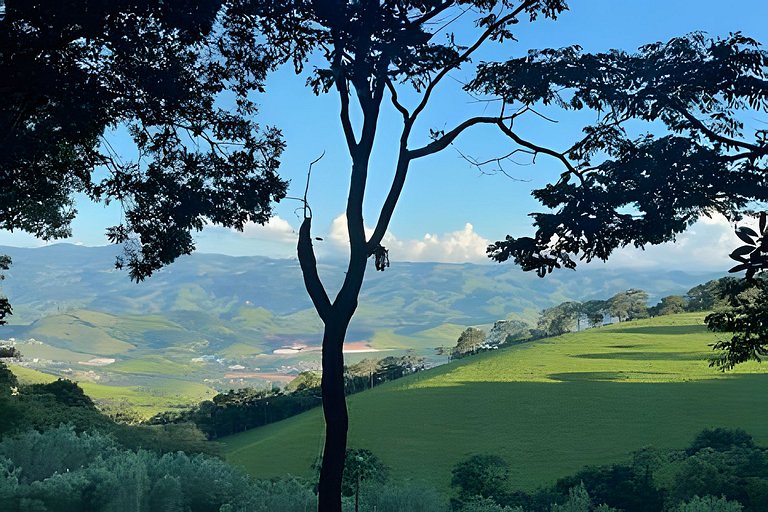 Cabana das Árvores nos Olivais Santa Clara
