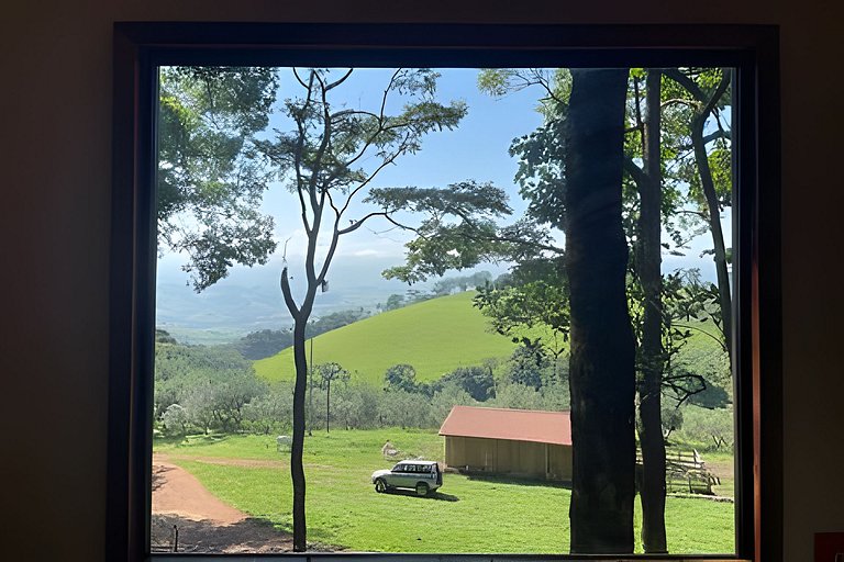 Cabana das Árvores nos Olivais Santa Clara