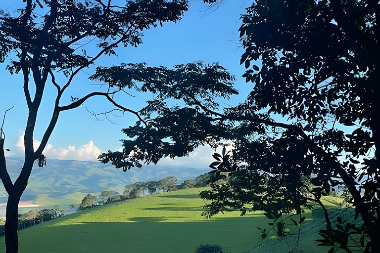 Cabana das Árvores nos Olivais Santa Clara