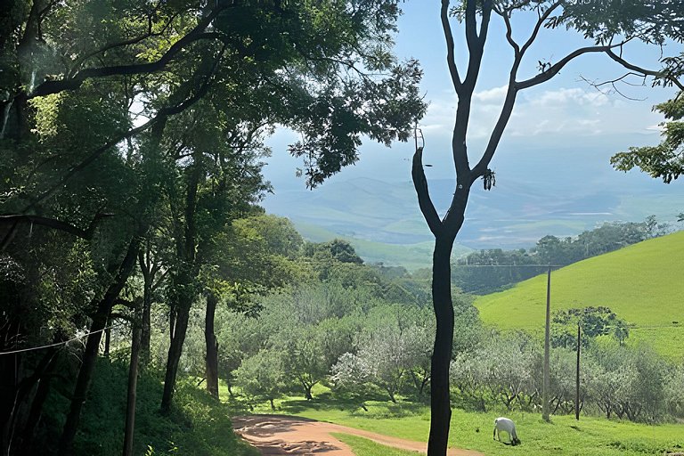 Cabana das Árvores nos Olivais Santa Clara