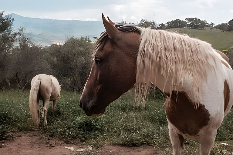Cabana das Árvores nos Olivais Santa Clara