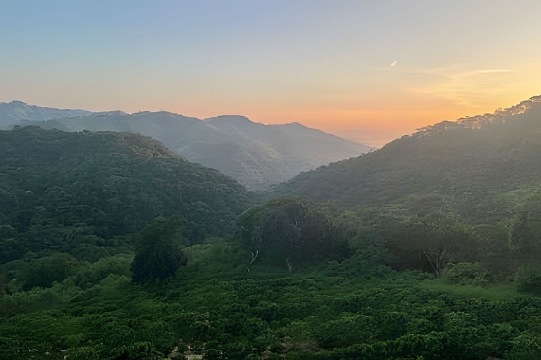 Cabana sobre o cafezal com ofurô e Starlink