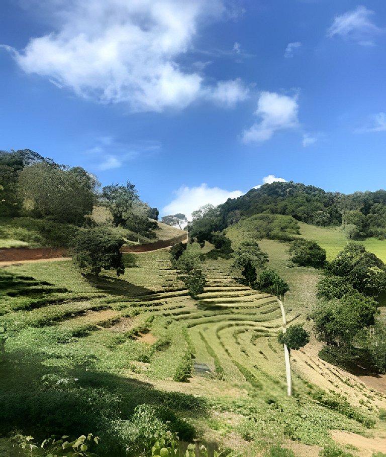 Cabana sobre o cafezal com ofurô e Starlink