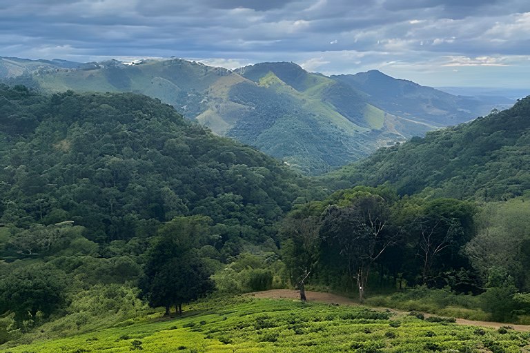 Cabana sobre o cafezal com ofurô e Starlink