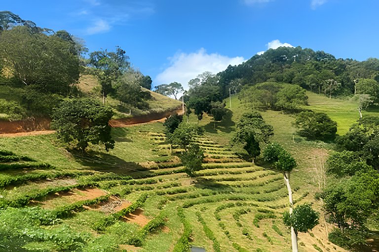 Cabana sobre o cafezal com ofurô e Starlink