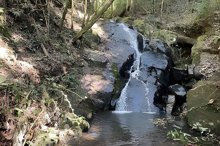 Cabana sobre o cafezal com ofurô e Starlink