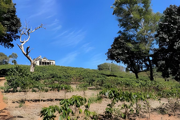 Cabana sobre o cafezal com ofurô e Starlink