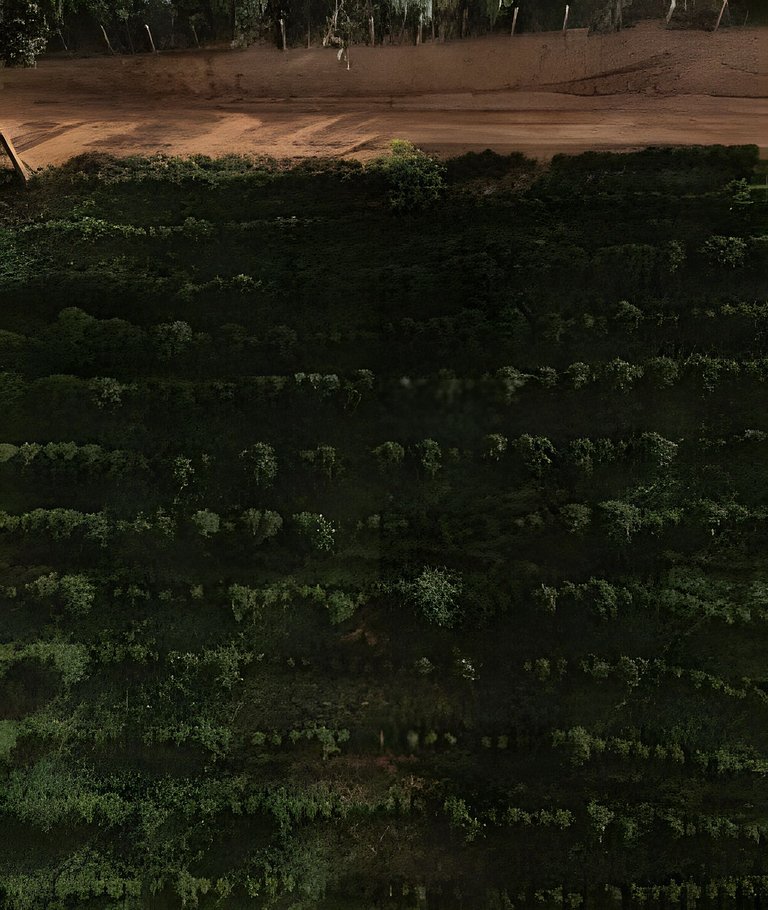 Trailer Vintage na Mantiqueira