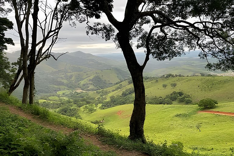 Cabana Mata |Olivais Santa Clara