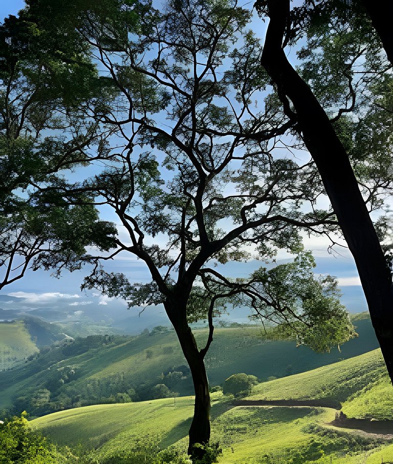 Cabana Mata |Olivais Santa Clara