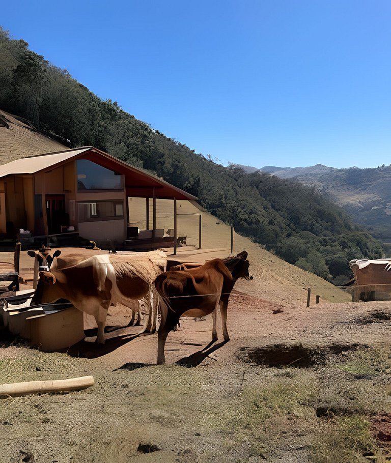 Cabana Mata |Olivais Santa Clara