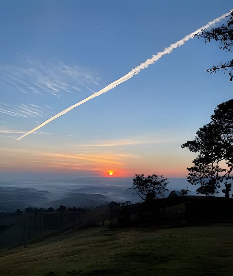 Cabana Mata |Olivais Santa Clara