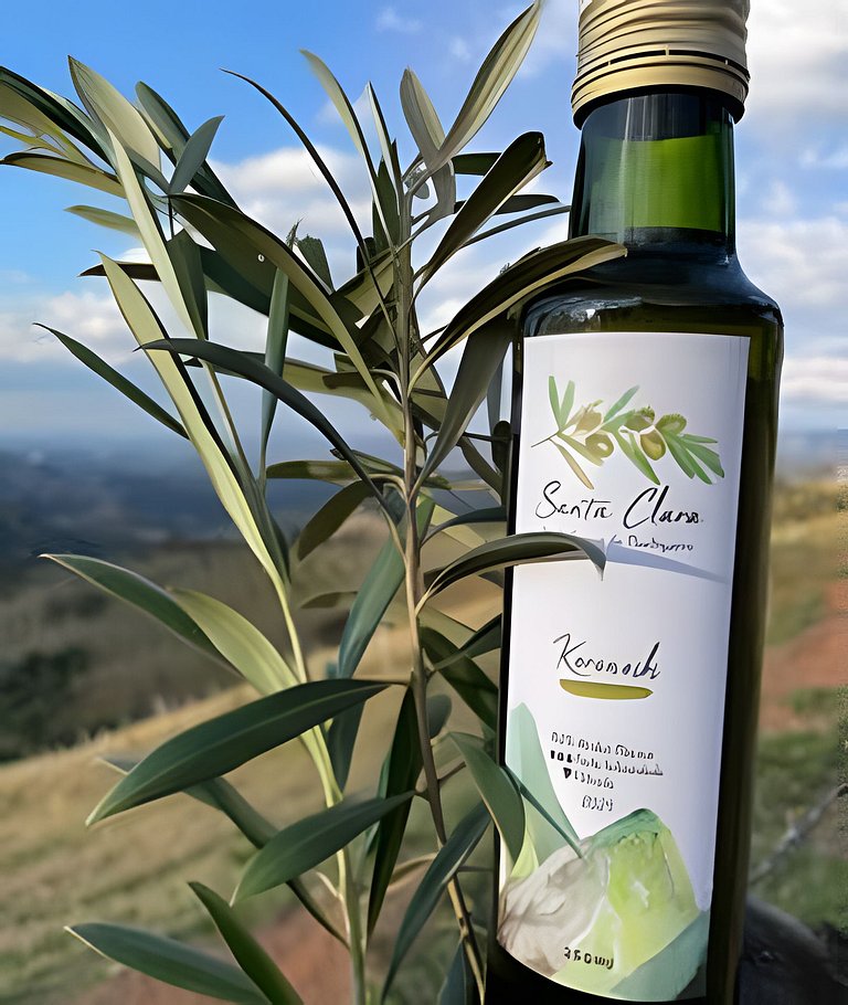 Cabana Mata |Olivais Santa Clara