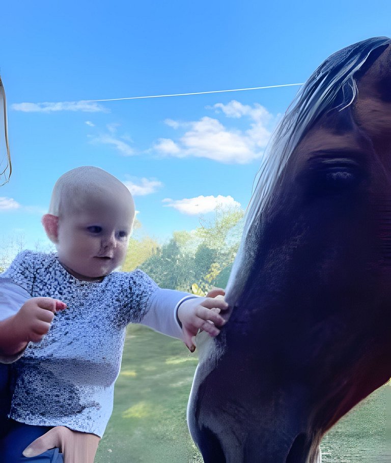 Cabana Mata |Olivais Santa Clara