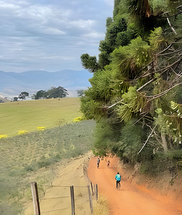 Cabana Mata |Olivais Santa Clara