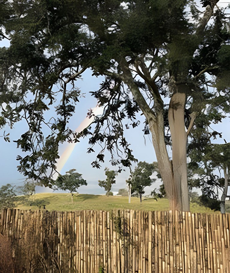 Cabana Mata |Olivais Santa Clara