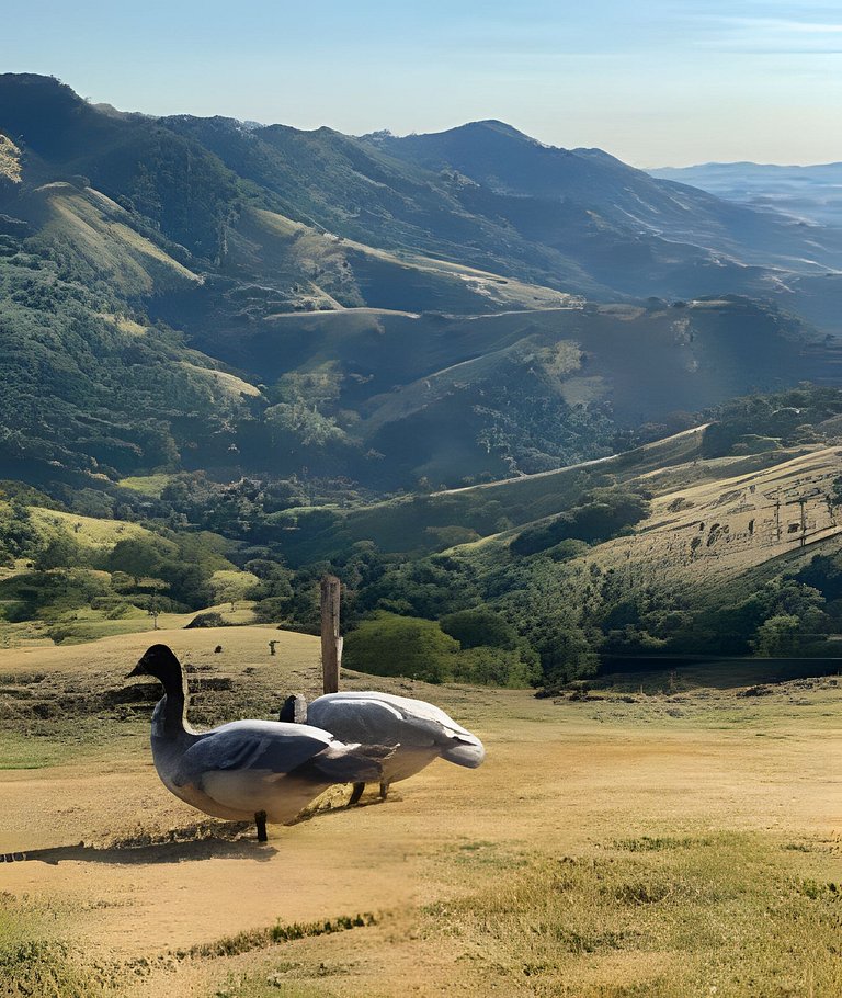 Cabana Mata |Olivais Santa Clara