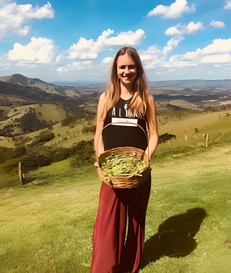 Cabana Mata |Olivais Santa Clara