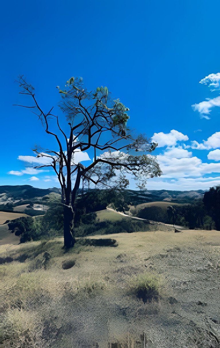 Cabana Mata |Olivais Santa Clara