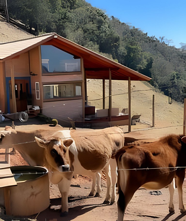 🌳⛰️🌄Chalé | Olivais Santa Clara Lodge |Sul de Minas
