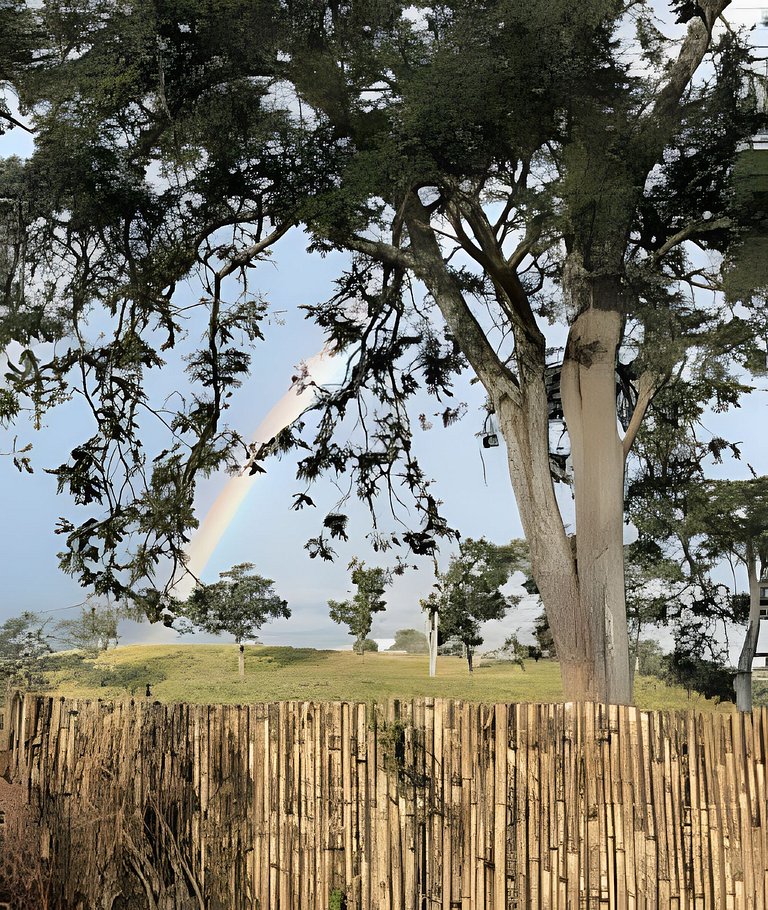 🌳⛰️🌄Chalé | Olivais Santa Clara Lodge |Sul de Minas