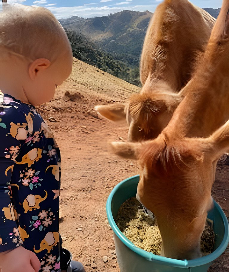 🌳⛰️🌄Chalé | Olivais Santa Clara Lodge |Sul de Minas