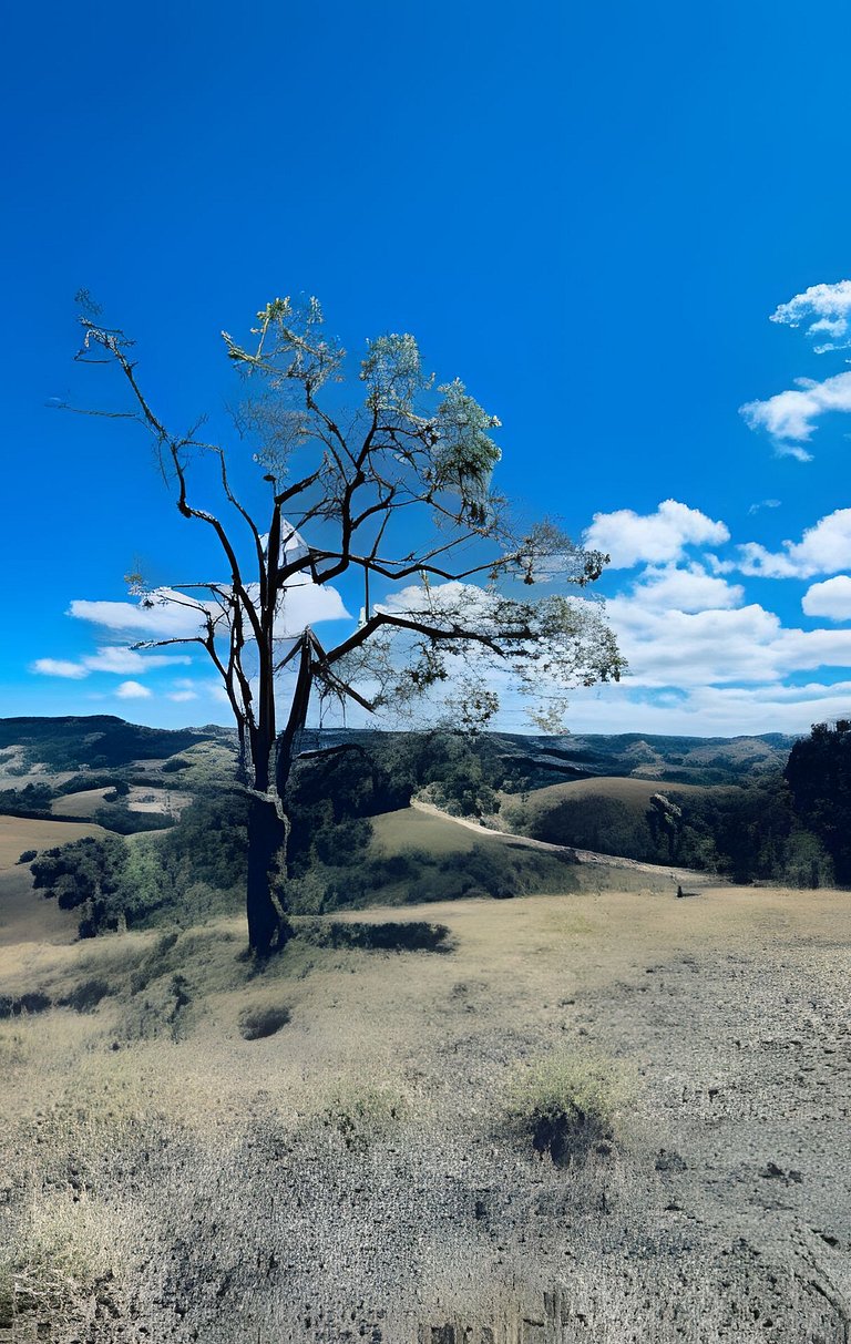 🌳⛰️🌄Chalé | Olivais Santa Clara Lodge |Sul de Minas