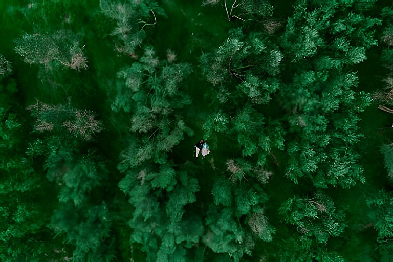 🌳⛰️🌄Chalé | Olivais Santa Clara Lodge |Sul de Minas