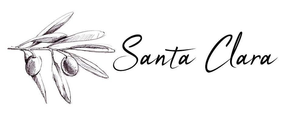 SANTA CLARA EMPREENDIMENTOS LTDA